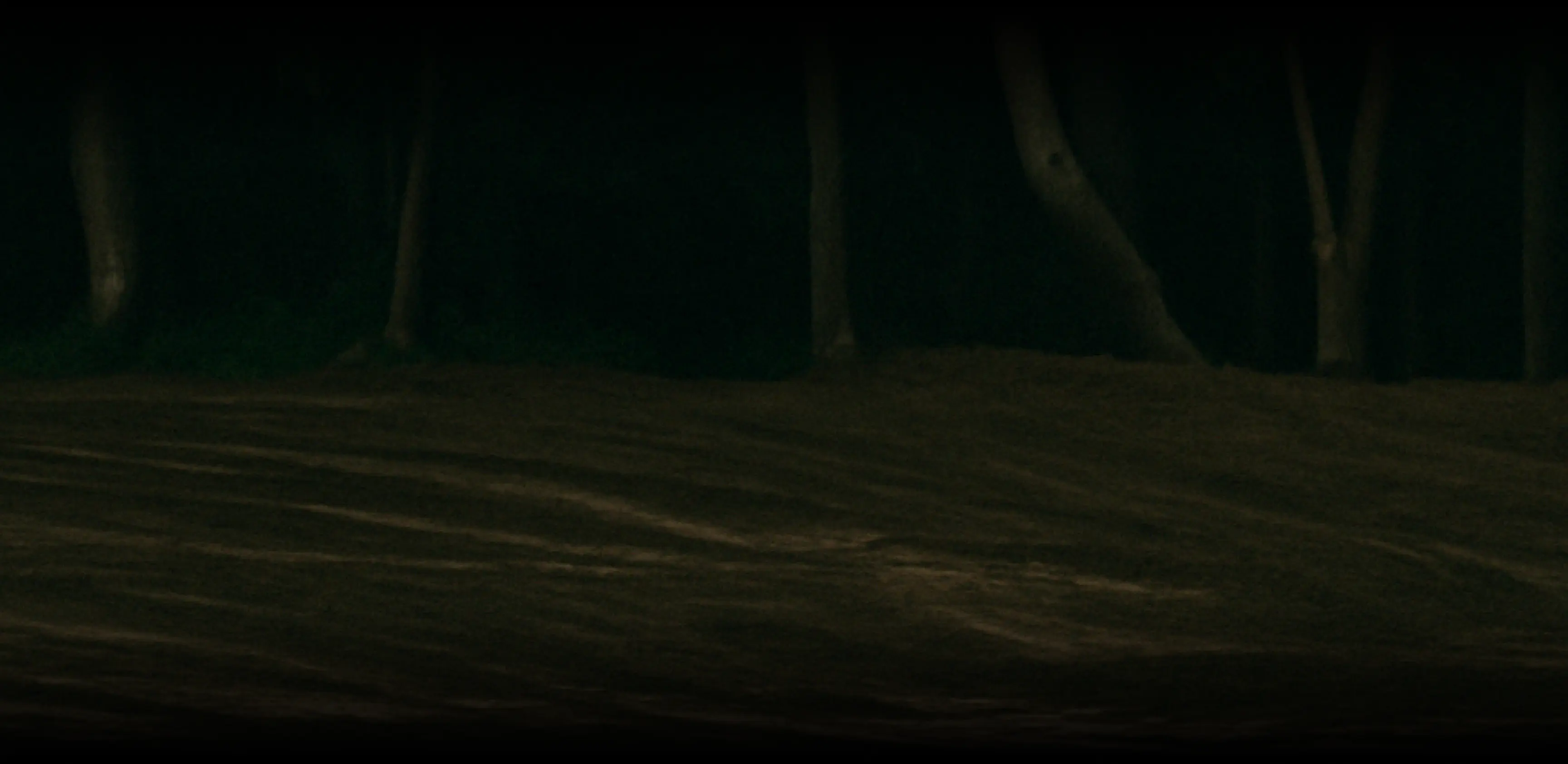 Construction equipment in forest