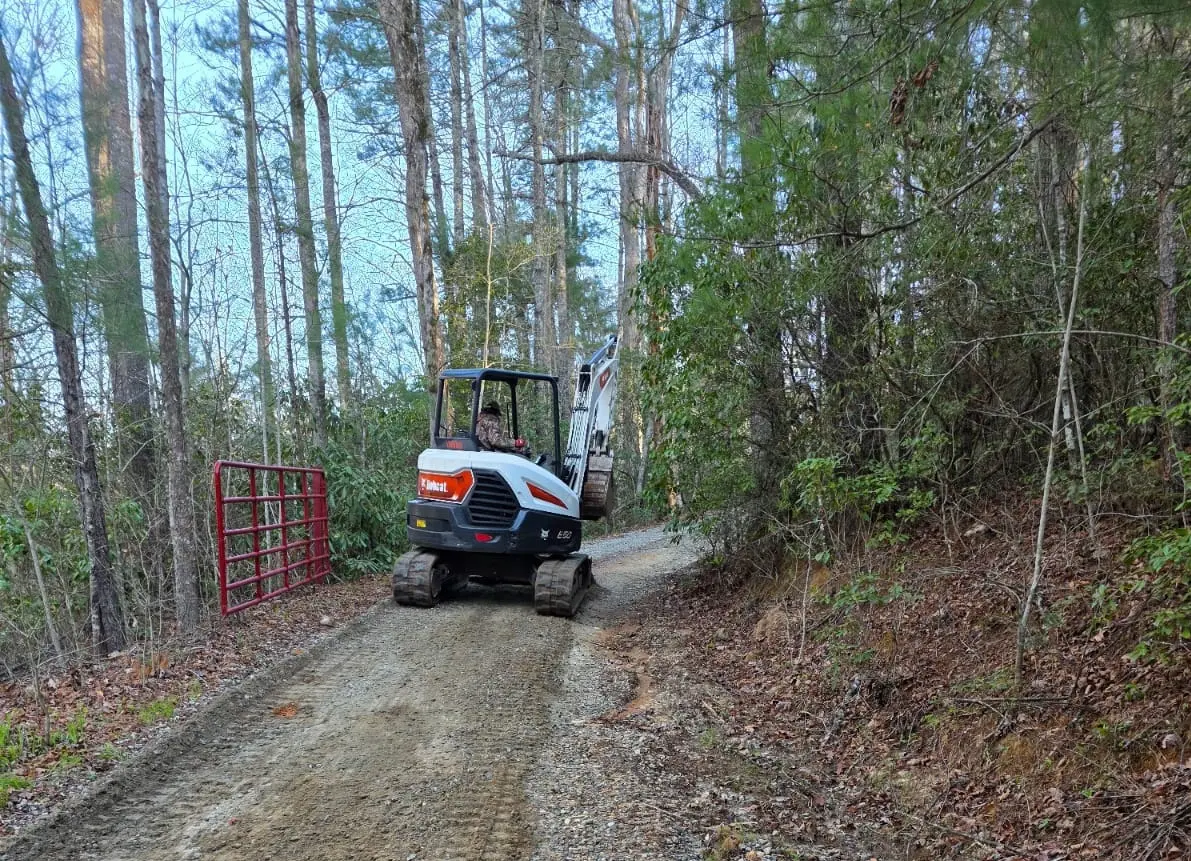 Construction equipment in forest